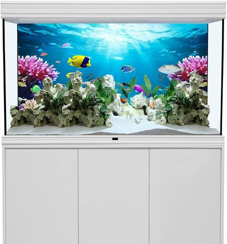 YongFoto Fish Tank Background 24x16 inch Aquarium Background Coral Seaweed Reef Rock Tropical Fish Underwater Sea World Backdrop Reptile Terrarium Background Bearded Dragon Habitat Background in Kuwait