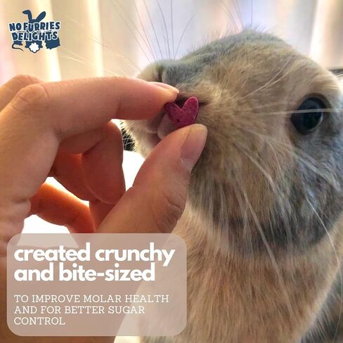 100% Organic & All Natural Treat for Rabbit Hamster Guinea Pig Chinchilla Pet Rat Mice Gerbil, Healthy Small Animal Enrichment Bonding Training, Berrylicious Variety Pack 50g in Saudi Arabia