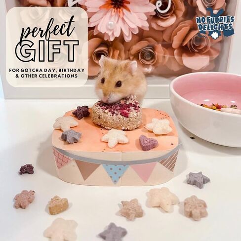 100% Organic & All Natural Treat for Rabbit Hamster Guinea Pig Chinchilla Pet Rat Mice Gerbil, Healthy Small Animal Enrichment Bonding Training, Berrylicious Variety Pack 50g in Saudi Arabia