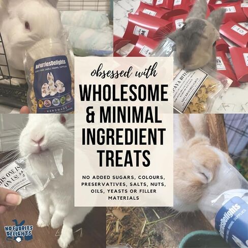 100% Organic & All Natural Treat for Rabbit Hamster Guinea Pig Chinchilla Pet Rat Mice Gerbil, Healthy Small Animal Enrichment Bonding Training, Berrylicious Variety Pack 50g in Saudi Arabia