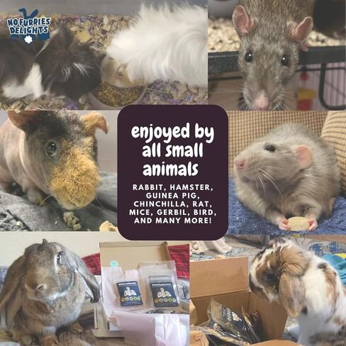 100% Organic & All Natural Treat for Rabbit Hamster Guinea Pig Chinchilla Pet Rat Mice Gerbil, Healthy Small Animal Enrichment Bonding Training, Berrylicious Variety Pack 50g in Saudi Arabia