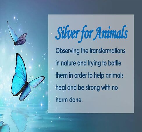 Colloidal Silver Liquid for Pets, Dogs, Cats | 500 ppm, Extra Strength (8 oz) | Spray & Drops | Hot Spot & Itch Relief | Wound Care | Immune Support in Saudi Arabia