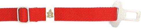 TurtleSnorkel - Pet Safety Seat Belt Tether - Red Tide in Saudi Arabia