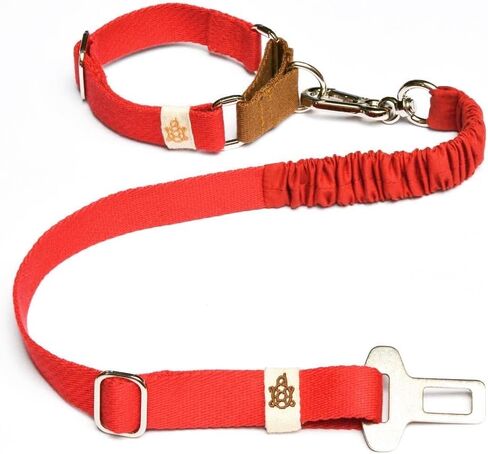 TurtleSnorkel - Pet Safety Seat Belt Tether - Red Tide in Saudi Arabia
