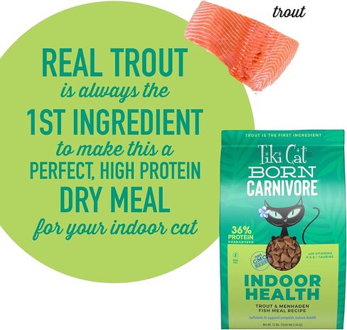 تيكي كات بورن آكلة اللحوم عالية البروتين، الصحة الداخلية، وصفة وجبة الدجاج والديك الرومي، كيبل مخبوز خالي من الحبوب لزيادة العناصر الغذائية إلى أقصى حد، طعام القطط الجاف، 3 رطل. حقيبة in Kuwait