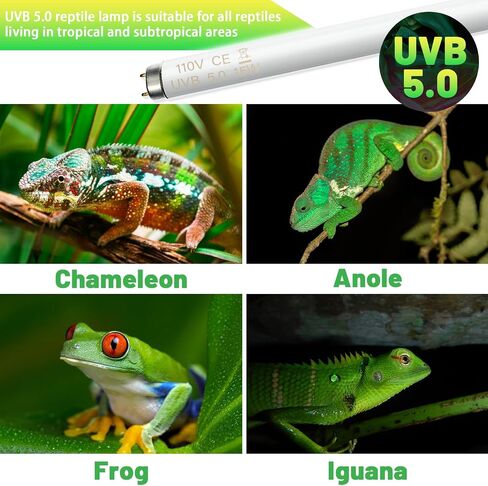 2Pack UVB Reptile Light 5.0 Bulb 15W 18inch T8,Long Service Life UVB Lamp Tube for Reptiles,Chameleon,Anoles Etc (5.0) in Saudi Arabia