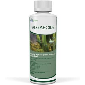 Aquascape 96022 Algaecide for Pond, Waterfall, and Water Features, 8-Ounce