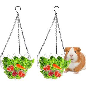 2 Pack Guinea Pig Feeder, Metal Hanging Rabbit Vegetable Fruits Basket, Retractable Feeding Toys for Guinea Pig Chicken Hens Duck Rabbits