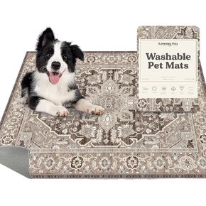 Lovewag Washable Pee Pads for Dogs | 2PCS 36" x 48" Anti Slip Reusable Pee Pads | Super Absorbent and Waterproof Puppy Pee Pads | Leak-Proof & Odor Control Dog Training Pad - Caramel Creme