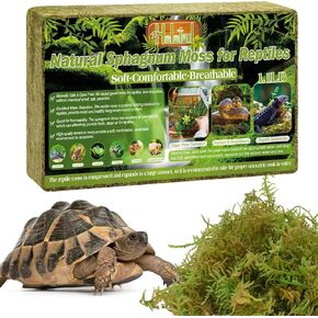 Halatool 9 OZ Sphagnum Moss for Reptiles - Green Terrarium Moss in Saudi Arabia