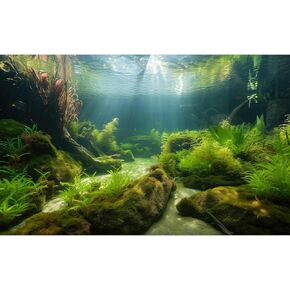 Ocean Floor Fish Tank Background Underwater Stone Aquarium Background Under Water Background Cave Sunlight Fish Tank Backdrop Decoration Aquarium Backdrop Durable Vinyl 48x24in