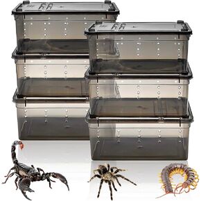 6 Pcs Spider Terrarium Small Plastic Insect Cage Transparent Tarantula Spiderling Enclosure Hatching Container Breeding Box with Vented Holes for Small Reptile Scorpion Centipede