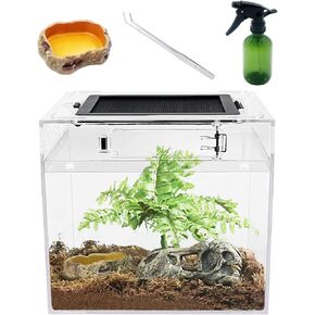 Mini Reptile PC Terrarium,8x8x8 inch Amphibian Tank Starter Kit Habitat Cage，for Insect，Fish，Tarantula，Turtles，Jumping Spiders and small reptiles