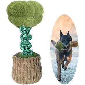 Dog Toy with Elastic Cotton Rope,Suitable for Medium to Large Dogs, Interactive Squeaky Dog Toys，Chew Toy Durable Plush Dog Toys，Cartoon Vegetable Shape Durable Stress Relief (Broccoli)