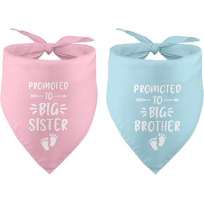2 Pack Promoted to Big Brother and Sister Dog Bandana Pet Dog Pregnancy Announcement Baby Announcement Gender Reveal Photo Prop Pet Scarf Pet Accessories for Dog Lover
