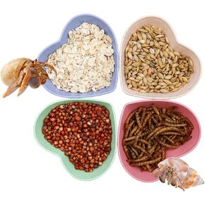 4 Pack Hermit Crab Plastic Food Dish, Hermit Crab Food & Water Bowl, Mini Food Dish Kit, Suitable for Hermit Crab Tarantula Snail
