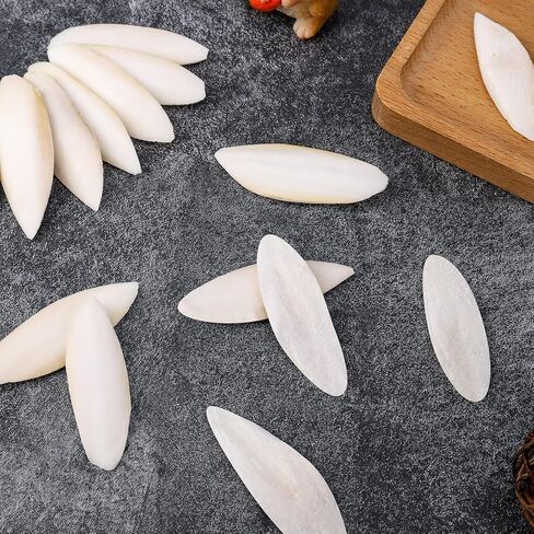 50 قطعة من لعبة مضغ عظم الحبار للطيور من عظام الحبار الطبيعية للسلاحف والقواقع وعظم الحبار للببغاوات والكوكاتيل والببغاء (2-3 بوصة) in Kuwait