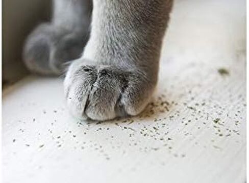 Meowijuana® Kalico Kush - مزيج جذر الناردين والنعناع البري - زجاجة كبيرة in Kuwait