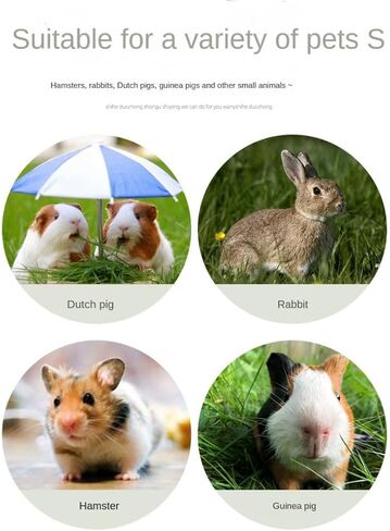 حصيرة العشب للحيوانات الأليفة لألعاب المضغ على شكل أرنب أرنب، حصيرة سرير منسوجة لخنزير غينيا شينشيلا السنجاب الهامستر والقطط والكلاب والحيوانات الصغيرة، وحدة تغذية القش الطبيعية المصنوعة يدويًا، متينة ومريحة (3 قطع) in Kuwait