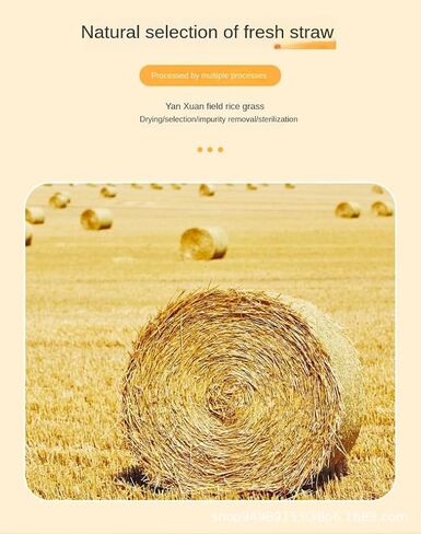 حصيرة العشب للحيوانات الأليفة لألعاب المضغ على شكل أرنب أرنب، حصيرة سرير منسوجة لخنزير غينيا شينشيلا السنجاب الهامستر والقطط والكلاب والحيوانات الصغيرة، وحدة تغذية القش الطبيعية المصنوعة يدويًا، متينة ومريحة (3 قطع) in Kuwait