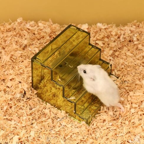 Hamster Hideout Ladder Bridge,Hamster Climbing Toy Ladder Bridge,Climbing Ladder with Hamster House,Hideout Chamber for Dwarf Hamsters mice and Small Animals Habitat décor (Blue+Pink) in Saudi Arabia