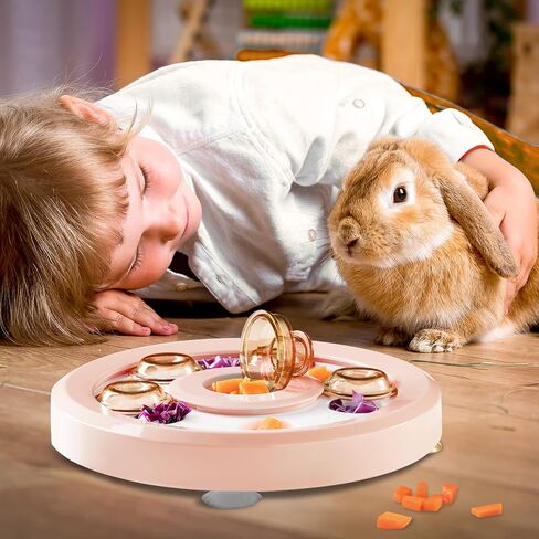 Interactive Pet Treat Puzzle Game Rabbit Toys,Ferrets Toys, Slow Feeder Function Benefit for Digestion, Keep Pet's Mind Active and Alert, Purple in Saudi Arabia