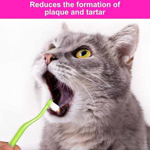 2pcs Dual Sided Cat & Dog Toothbrushes 6.3x0.63in Kitten Puppy Teeth Cleaning Brush Micro Head Pets Kitty Dental Care for Prevent Bad Breath & Plaque Tartar Formation (Pink,Green) in Saudi Arabia