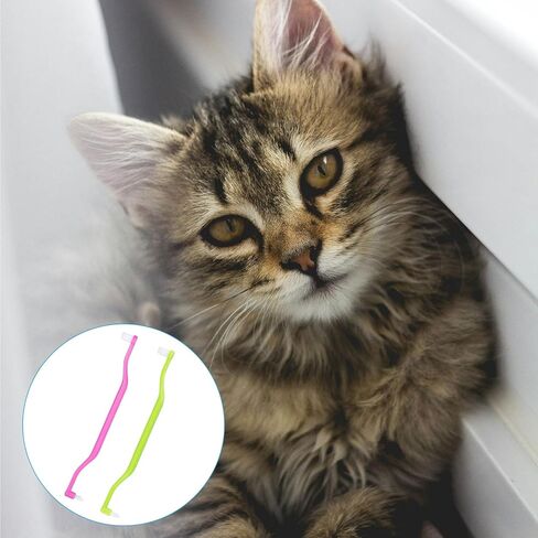 2pcs Dual Sided Cat & Dog Toothbrushes 6.3x0.63in Kitten Puppy Teeth Cleaning Brush Micro Head Pets Kitty Dental Care for Prevent Bad Breath & Plaque Tartar Formation (Pink,Green) in Saudi Arabia