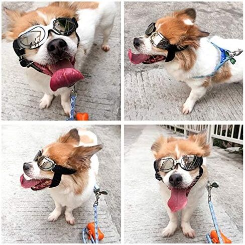 La La Pet® Pet Helmet with Dog Goggles Pet Doggie Cap Hat Dog Sunglasses Pet Eye Wear Cat UV Protection Sun Glasses for Puppy Dog Travel Skiing, Helmet M + Blue Goggles in Saudi Arabia