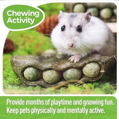 Nibble Peapods Small Animal Chew Toy 3 PCs Hamster Chinchilla Gerbil Guinea Pig Toy for Teeth Grinding Boredom Breaker in Saudi Arabia