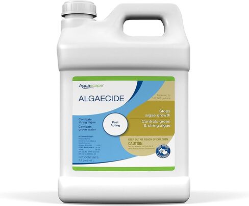 Aquascape 96022 Algaecide for Pond, Waterfall, and Water Features, 8-Ounce in Kuwait