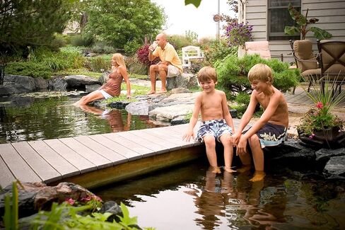 Aquascape 96022 Algaecide for Pond, Waterfall, and Water Features, 8-Ounce in Kuwait
