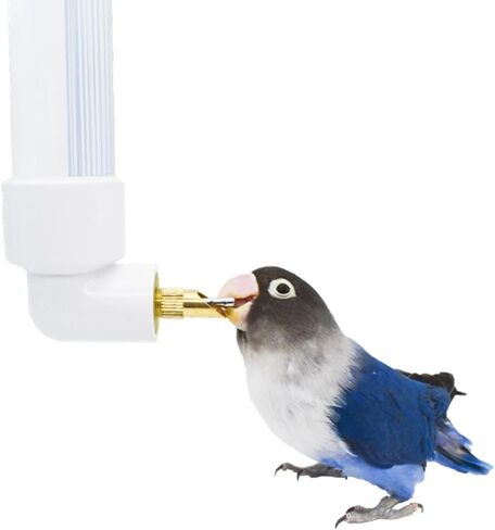 Bird Water Drinker Automatic Parrot Conure Cockatiel Water Dispenser Bird Cage Drinking Device for Medium Small Birds in Saudi Arabia