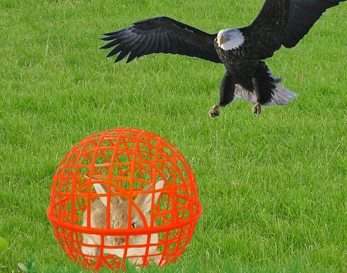 11" Ball-shaped Movable Pigeon Chick Coop, Little Rabbit Duck Guinea Pig Safe Walking Net,Preventing Dog Bites, Predation by Eagles Wolves Cats Eagles, Pet Safety Cage in Saudi Arabia