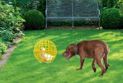 11" Ball-shaped Movable Pigeon Chick Coop, Little Rabbit Duck Guinea Pig Safe Walking Net,Preventing Dog Bites, Predation by Eagles Wolves Cats Eagles, Pet Safety Cage in Saudi Arabia