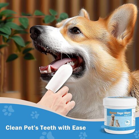 مناديل تنظيف أسنان الحيوانات الأليفة من أفونت للكلاب والقطط، 50 قطعة من مناديل أصابع الأسنان تقلل من البلاك والجير، ومعطر أنفاس الكلاب والعناية باللثة - مقاس M in Kuwait