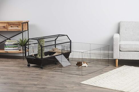 موطن Oxbow Enriched Life الكبير مع ساحة اللعب in Kuwait