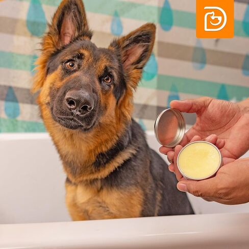 3-in-1 Paw Balm & Deodorizer Spray - Between Baths Bundle for Pets | Moisturizing Balm for Cracked Skin (2oz) & Long-Lasting Piña Colada Odor Eliminator (8oz) for Dogs & Cats in Kuwait