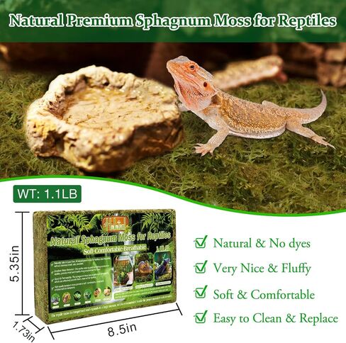 Halatool 1.1LB طحالب الطحالب الطبيعية للزواحف، الطحالب الخضراء الحية لنباتات تررم، طحالب الزواحف ذات الألياف الطويلة ليوبارد أبو بريص ثعبان الهامستر، السلاحف، الضفادع، السحالي، السلمندر in Saudi Arabia
