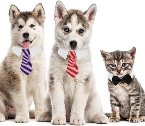 4Pcs Pet Bow Tie Adjustable White Dog Collar with Formal Classy Stripped Neck Tie Dog Tie Puppy Grooming Ties Party Accessories for Small Dogs and Cats (S, Black, Red, Blue) in Saudi Arabia