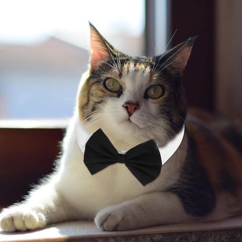 4Pcs Pet Bow Tie Adjustable White Dog Collar with Formal Classy Stripped Neck Tie Dog Tie Puppy Grooming Ties Party Accessories for Small Dogs and Cats (S, Black, Red, Blue) in Saudi Arabia