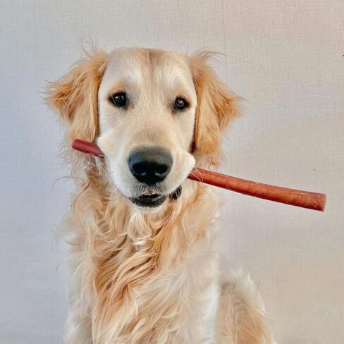 Bully Sticks (12 Inch, Jumbo Thickness), Fully Digestible 100% Beef Pizzle Chews, Grass-Fed, Grain-Free, Natural Long-Lasting Chews for Medium & Large Dogs (1 count (Pack of 2)) in Saudi Arabia