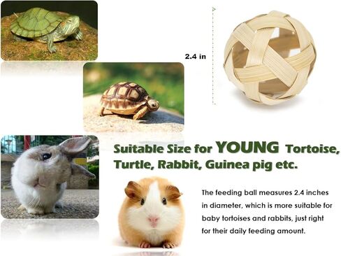 Tortoise Treat Ball, Hay Feeder Ball for Small Animals, Foraging Toy for Turtle, Guinea Pig and Rabbit in Kuwait