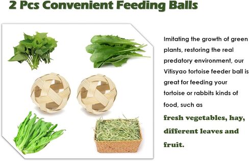 Tortoise Treat Ball, Hay Feeder Ball for Small Animals, Foraging Toy for Turtle, Guinea Pig and Rabbit in Kuwait