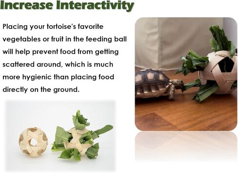 Tortoise Treat Ball, Hay Feeder Ball for Small Animals, Foraging Toy for Turtle, Guinea Pig and Rabbit in Kuwait