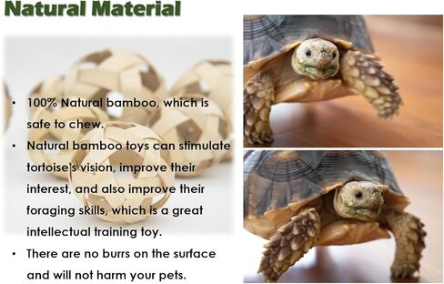 Tortoise Treat Ball, Hay Feeder Ball for Small Animals, Foraging Toy for Turtle, Guinea Pig and Rabbit in Kuwait