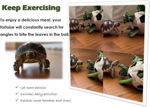 Tortoise Treat Ball, Hay Feeder Ball for Small Animals, Foraging Toy for Turtle, Guinea Pig and Rabbit in Kuwait