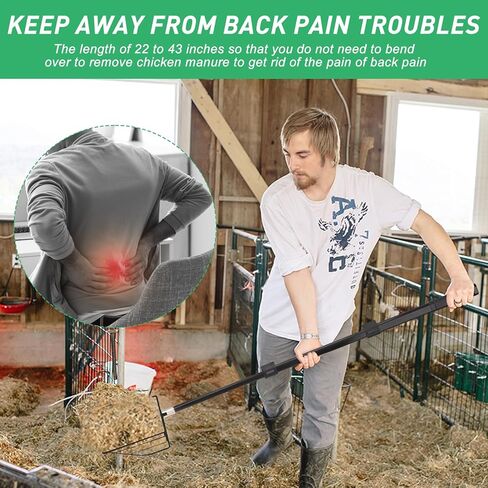 مغرفة فضلات الدجاج المعدنية القابلة للتعديل - مغرفة فضلات معدنية ذات مقبض طويل لسهولة تنظيف حظيرة الدجاج - ملحقات حظيرة الدجاج شديدة التحمل (22 إلى 43 بوصة) in Kuwait