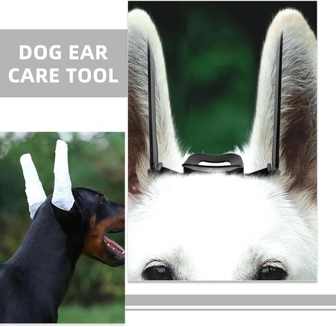 مجموعة نشر الأذن من INOOMP Doberman-طقم نشر الأذن لـ Doberman-Dog Ear Posting Kit حنفية أذن الكلب لكلب Doberman Pinscher in Saudi Arabia