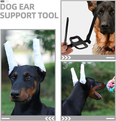 مجموعة نشر الأذن من INOOMP Doberman-طقم نشر الأذن لـ Doberman-Dog Ear Posting Kit حنفية أذن الكلب لكلب Doberman Pinscher in Saudi Arabia
